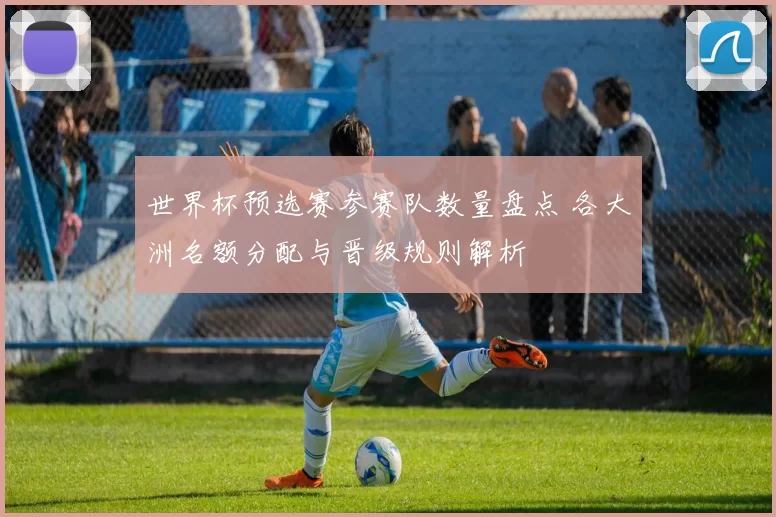 世界杯预选赛参赛队数量盘点 各大洲名额分配与晋级规则解析