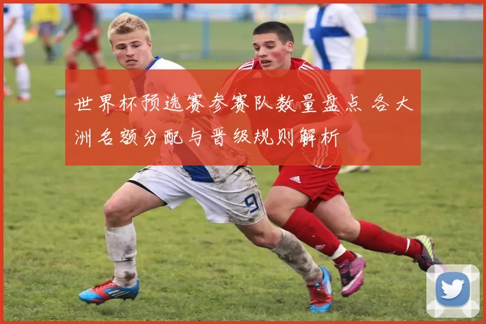 世界杯预选赛参赛队数量盘点 各大洲名额分配与晋级规则解析