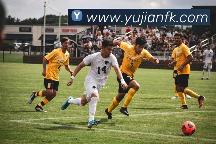 多媒体互动体验